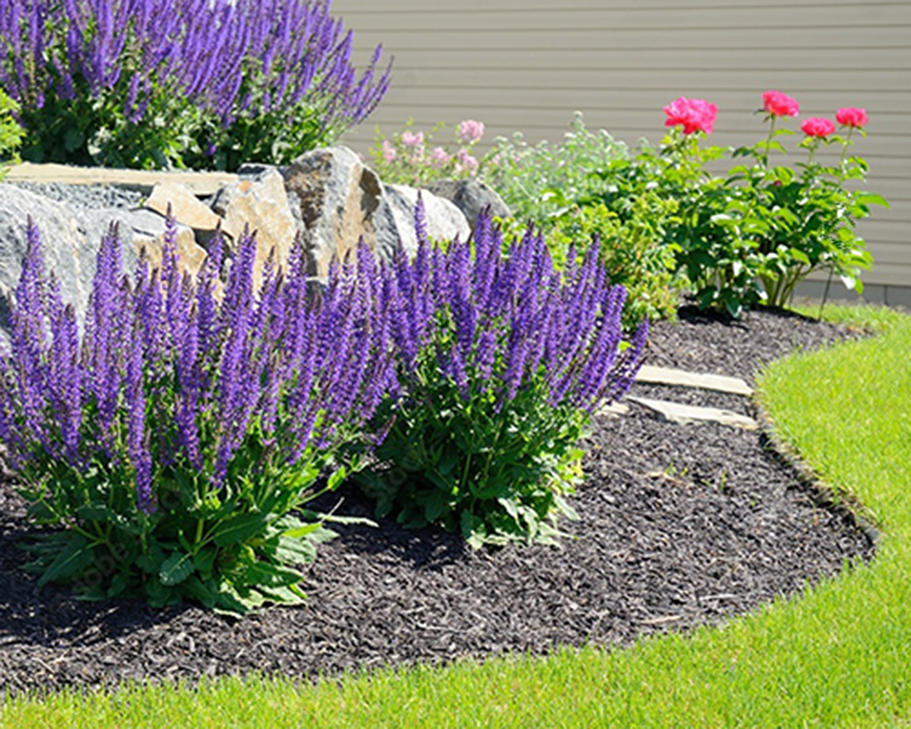 Landscaping and Mulching