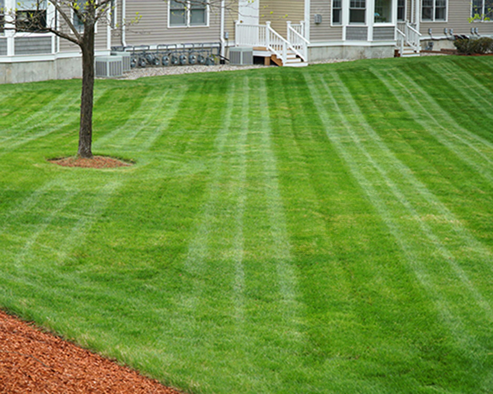 Lawn Mowing